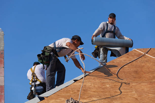 Best Roof Gutter Cleaning  in Lowell, MA